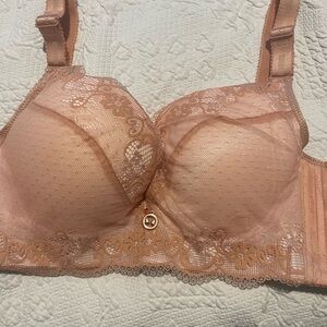 Elegant Lace Women's Bra Fallsweet Sz 42B Underwire Push-up Bra New